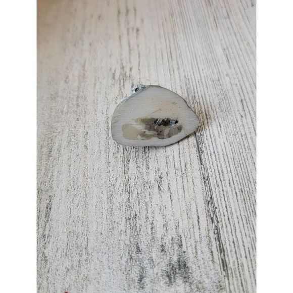 Halloween skeleton head skull bones Village accessory - Picture 4 of 4